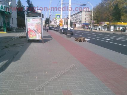 Размещение рекламы компании "Бегемот" в городе Тамбов